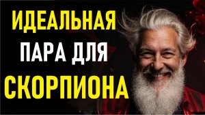⚠️СКОРПИОНЫ И Их Идеальная Пара! The Perfect Pair Of  The SCORPIO.⚠️