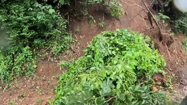 Llegamos a una bonita cascada para darle descanso a las motos. Los Bichos ya andan frio смотреть онлайн