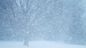 Вьюга во поле завыла