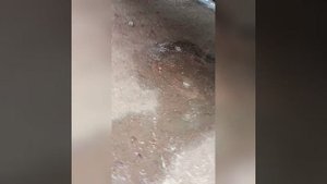 Ай да Овруч, меня замотал однако