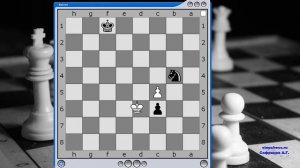 Задание №3  Конь с пешкой против пешки