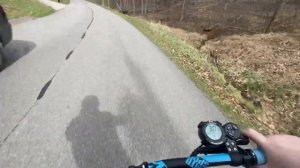 THE BEST SCOOTER YOU CAN'T BUY! - Bluetran Lightning by MiniMotors