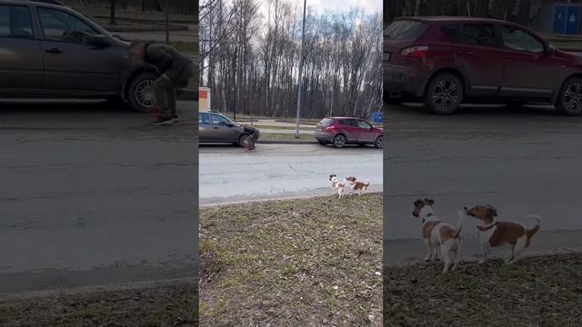 Закрепление границы «Дорога» /ч.2 смотреть онлайн