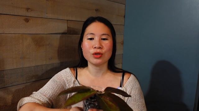 ALL My Sun Stressed HOYAS смотреть онлайн