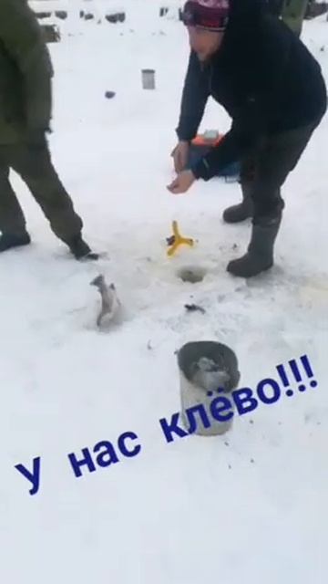 Мисайлово Trout. Зимняя форель