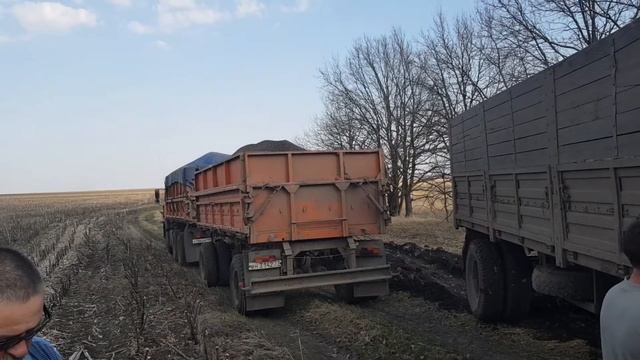 Уборка Подсолнечника. смотреть онлайн