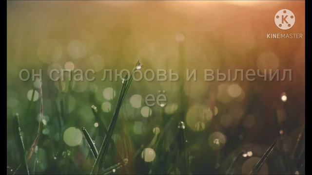 как познакомились лес и любовь смотреть онлайн