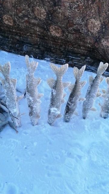 РЫБАЛКА В МИНУС 35 НА ОЗЕРЕ #shorts смотреть онлайн