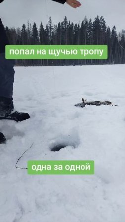 Рыбалка в Карелии. Попал на щучью тропу