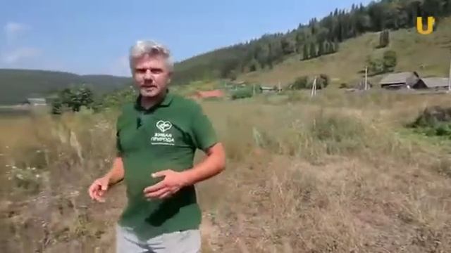 яман порт смотреть онлайн