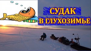 Пытаемся поймать судака в глухозимье