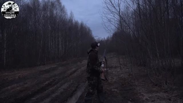 Охота на ВАЛЬДШНЕПА. Весенняя ОХОТА 2022. смотреть онлайн