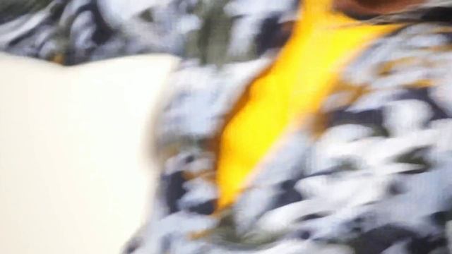 কবিতা _Ridd G_New বাঙালি Elmatic Rap song смотреть онлайн