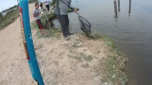 Ловим змееголов. Узбекистан