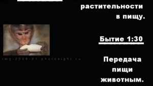 Создание Человека