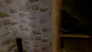 Сдача квартиры Краснодар