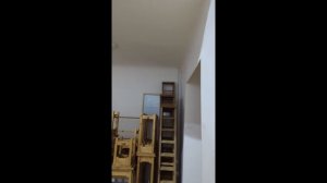 Прогулка по коридорам на Поварской