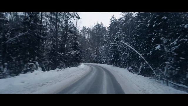 Заколдованный дикий лес смотреть онлайн