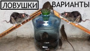 🐭Мышеловки,ловушки.Много вариантов .