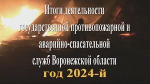 Итоги деятельности государственной противопожарной и аварийно-спасательных служб за 2024