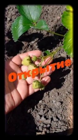 Совсем скоро открытие дачного сезона.Ждём.
