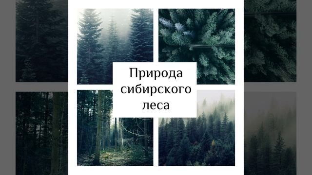 Бесконечные воды смотреть онлайн