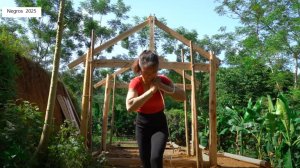 Дорис строит дом 3.