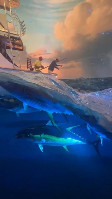 Great Ocean Hall at Wonders of Wildlife National Museum & Aquarium in Springfield MO смотреть онлайн