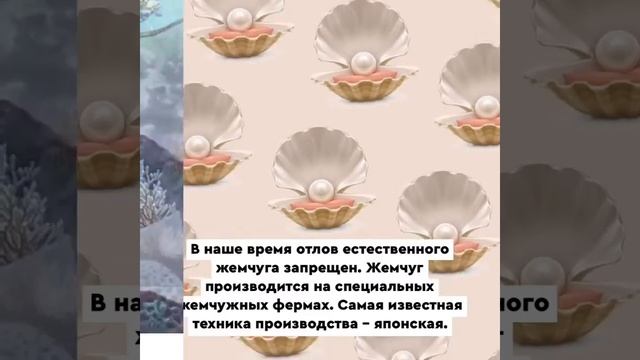 А жемчуг у вас настоящий?