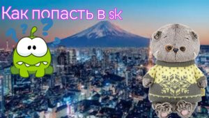 как попасть в SK?