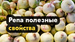 Репа полезные свойства - полезно кушать репу и как её вырастить