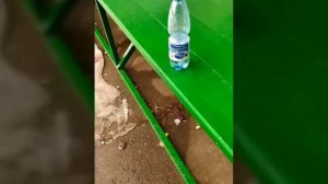 ДИМОН - меме - КАК СНИМАЛИ МЕМ ДИМОН????!!!!!!