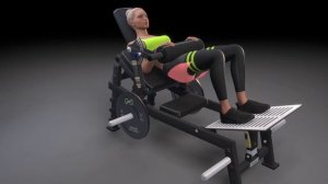 DHZ Fitness EVOST II - A3092 Glute Maker