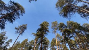 Последние дни зимы