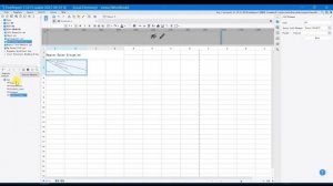FineReport 11.0 Basics Tutorial - Chapter4_ General Report Example