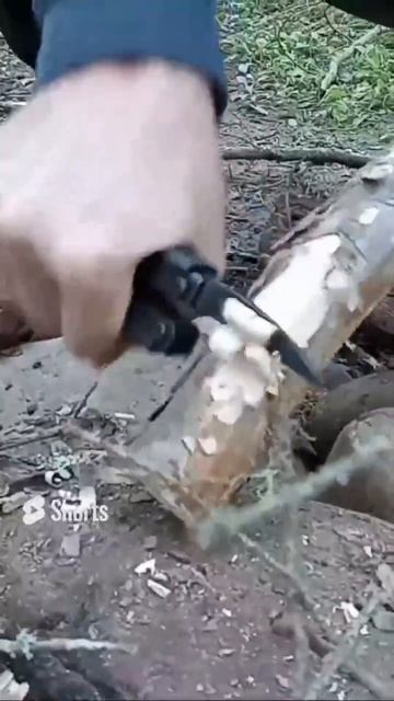 Family Camping In the Woods | Cool Night #shorts смотреть онлайн