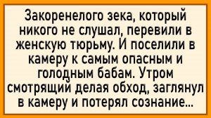 Как бабы у зека чуть не оторвали! Сборник свежих анекдотов! Юмор!