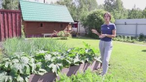 Высокие теплые грядки из ДПК  Holzhof