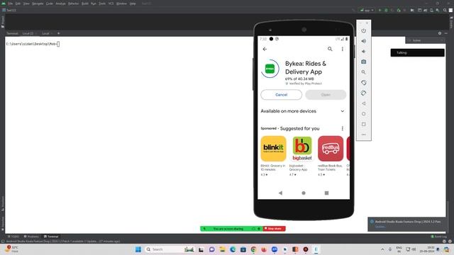 009. Apk Pentesting And Problems