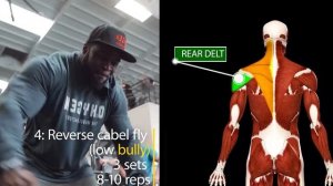 CHARLES GLASS | The perfect shoulder workout for monster Delts