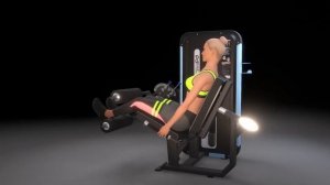 DHZ Fitness Evost II Dual Function A3086 Leg Extension_Curl