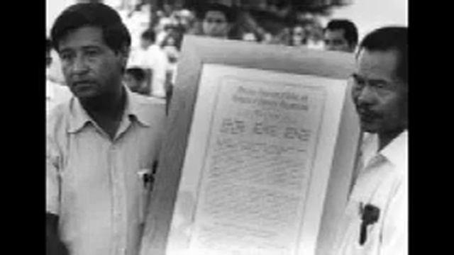 EWS 301 Group Project Video смотреть онлайн