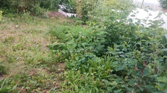 10 июля 2023 г. смотреть онлайн