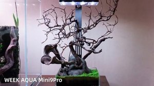 WEEK AQUA MINI 9 PRO