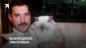 это трудная жизнь