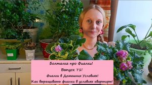 Болталка про Фиалки! Выпуск 71: Фиалки в Домашних Условиях! Как выращивать Фиалки в квартире!