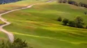 Музыка одинокий пастух