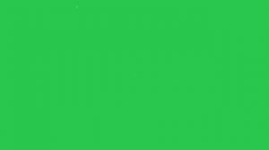 Camera Click Green screen|| #shorts