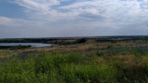 ещё один оазис, пруд в Отрадном