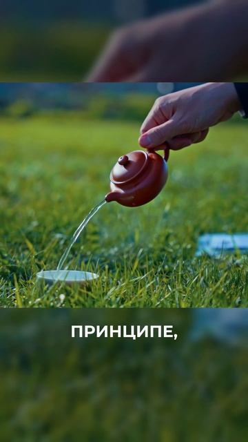ТОП ЛУЧШИХ ЧАЕВ ЛЕТОМ! НЕ ЗАБУДЬ ОБ ЭТОМ, СОБИРАЯСЬ ПИТЬ ЧАЙ НА УЛИЦЕ!  #чаёк #китайскийчай